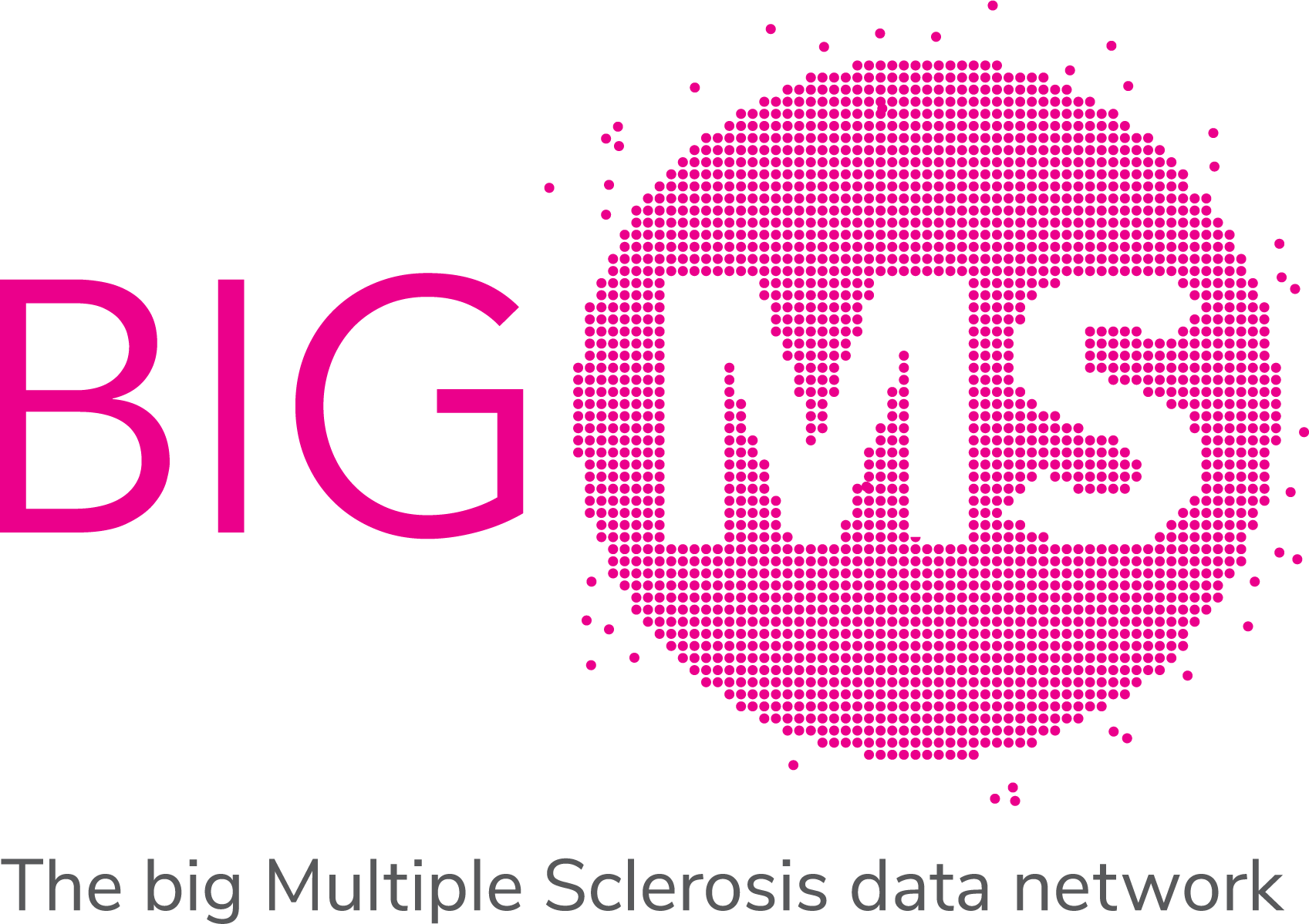 BIG MS logo